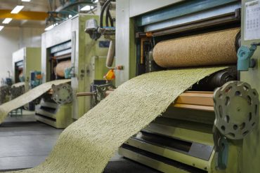 « Chanvre et énergie durable : une alternative prometteuse pour un avenir vert »