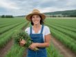 La culture du chanvre en France : une filière agricole en pleine expansion