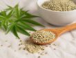 Les bienfaits des graines de chanvre dans l’alimentation quotidienne et sportive