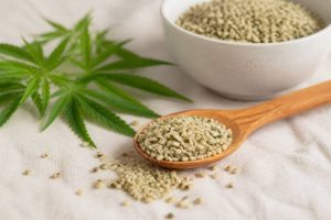 Les bienfaits des graines de chanvre dans l’alimentation quotidienne et sportive