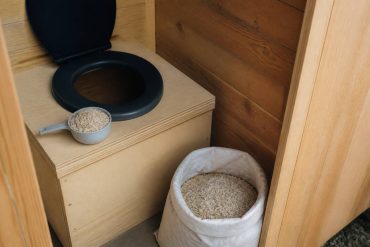 Alimentation des poules : peut on donner des graines de chanvre pour compléter la ration animale
