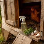 Quel répulsif naturel pou rles poux rouges des poules pour protéger le poulailler