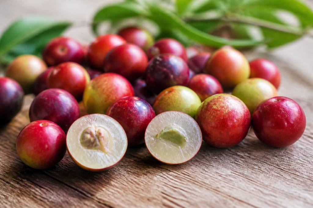 Camu camu bienfaits : vitamine C, propriétés antioxydantes et précautions
