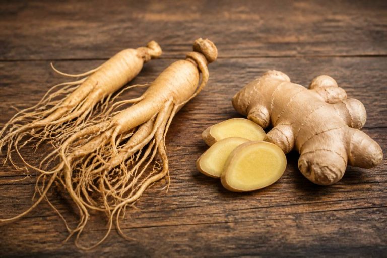 Différence entre ginseng et gingembre : propriétés, usages et précautions