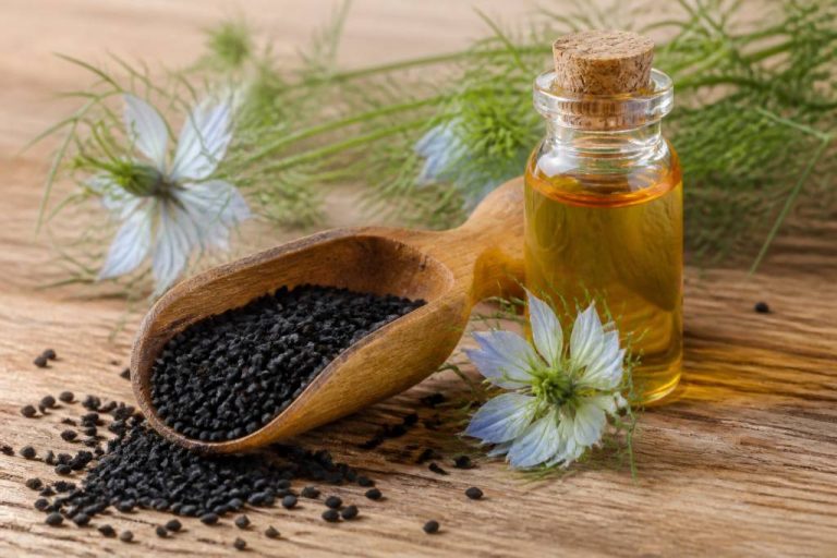 Graine de nigelle utilisation : conseils, bienfaits et modes de consommation