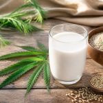 Lait de chanvre bienfaits : une alternative végétale au lait traditionnel