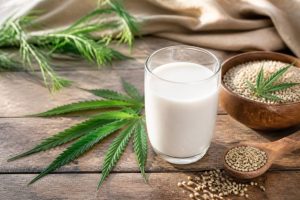 Lait de chanvre bienfaits : une alternative végétale au lait traditionnel