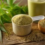 Protéine de chanvre : bienfaits, valeurs nutritionnelles et mode d’utilisation
